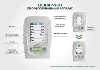 СКЭНАР-1-НТ (исполнение 01)  в Каменск-уральском купить Медицинский интернет магазин - denaskardio.ru 